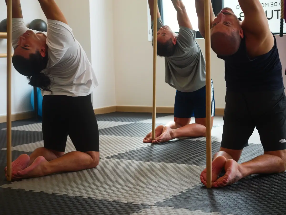 Adaptability Adaptability